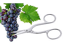 Ножницы для винограда
