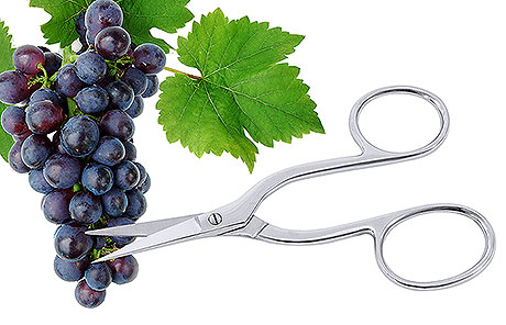Ножницы виноградные